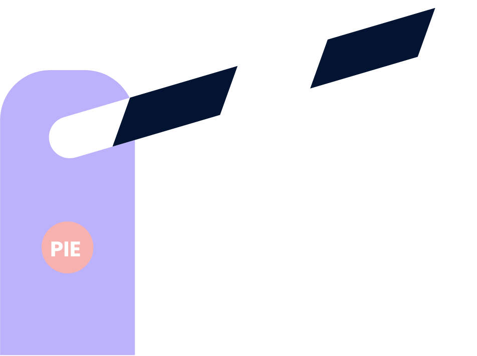 Boom Gate